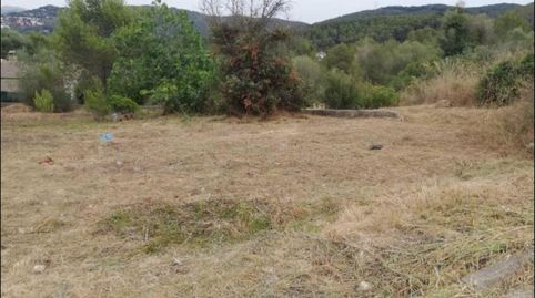 Solvia Inmobiliaria  Suelo Urbanizable Canyelles, immagine 3
