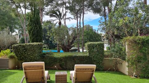 Photo 3 of Planta baja to rent in Portals Nous, Calvià