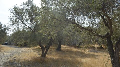 Foto 5 de Residencial en venda a Calle Proverbios, 4, Campanillas, Málaga