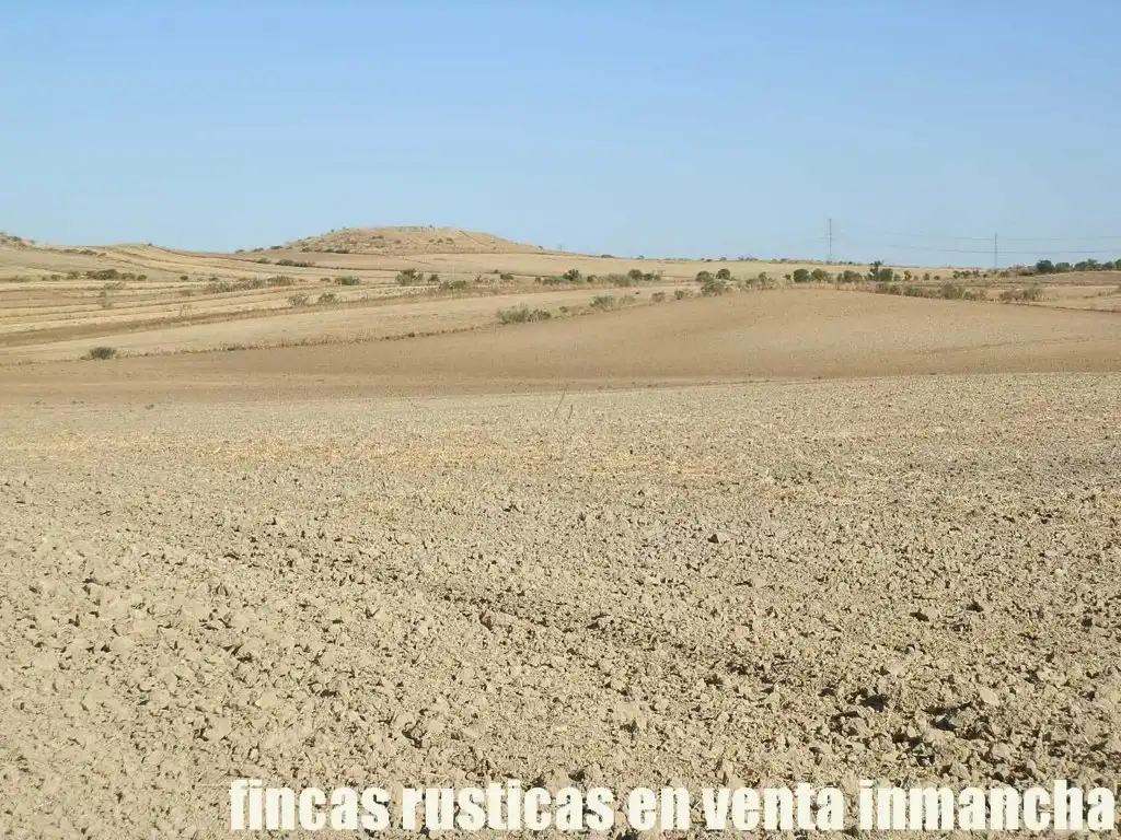Terreni e lotti in vendita a Bargas, imagen 8