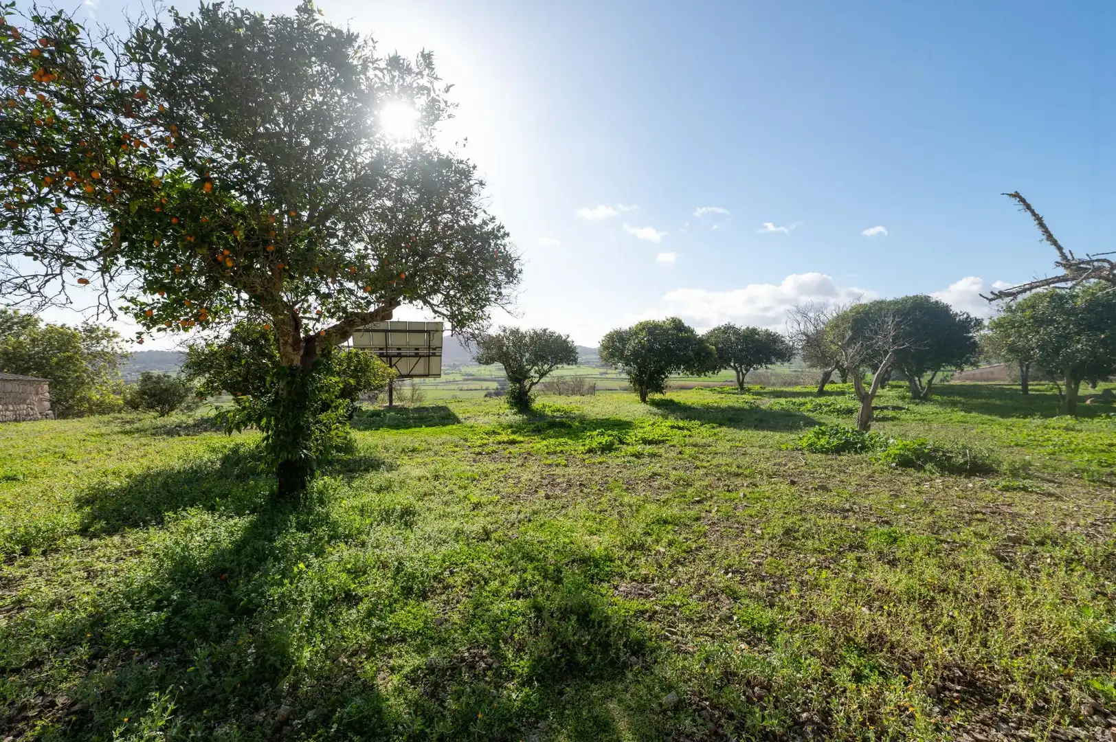 Casa rustica con giardino in vendita a Sineu, imagen 22