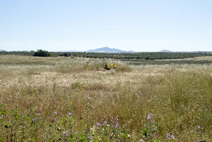 Terreni e lotti in vendita a Sc S6-S13 - Camino Fuente Cordel -, imagen 11
