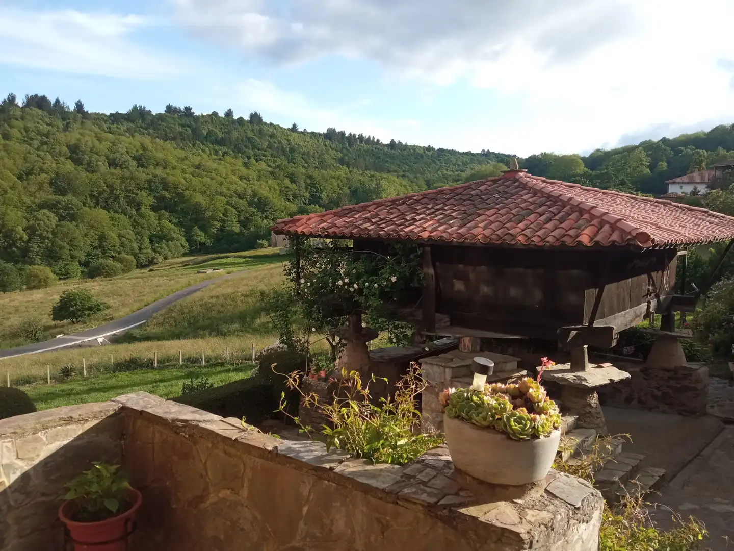 Terraza de Finca rústica en venta en Tineo con Jardín privado, Parquet y Terraza
