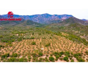 Land for sale in Mas de Barberans