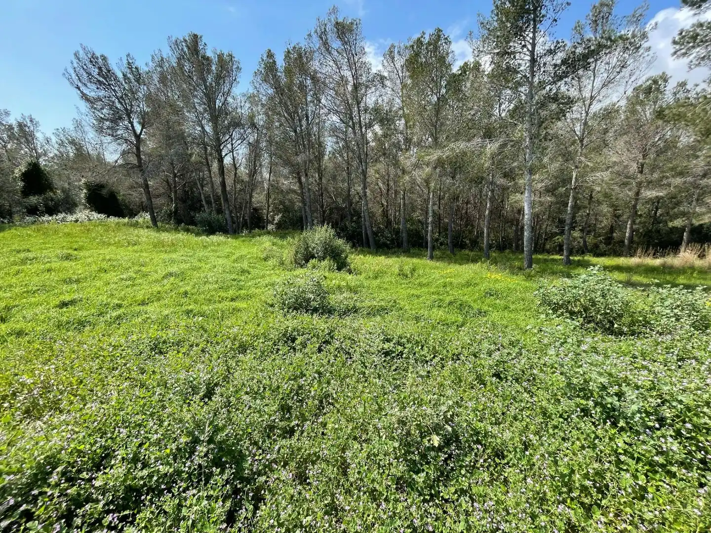 Lands and plots for sale in Poble, imagen 2