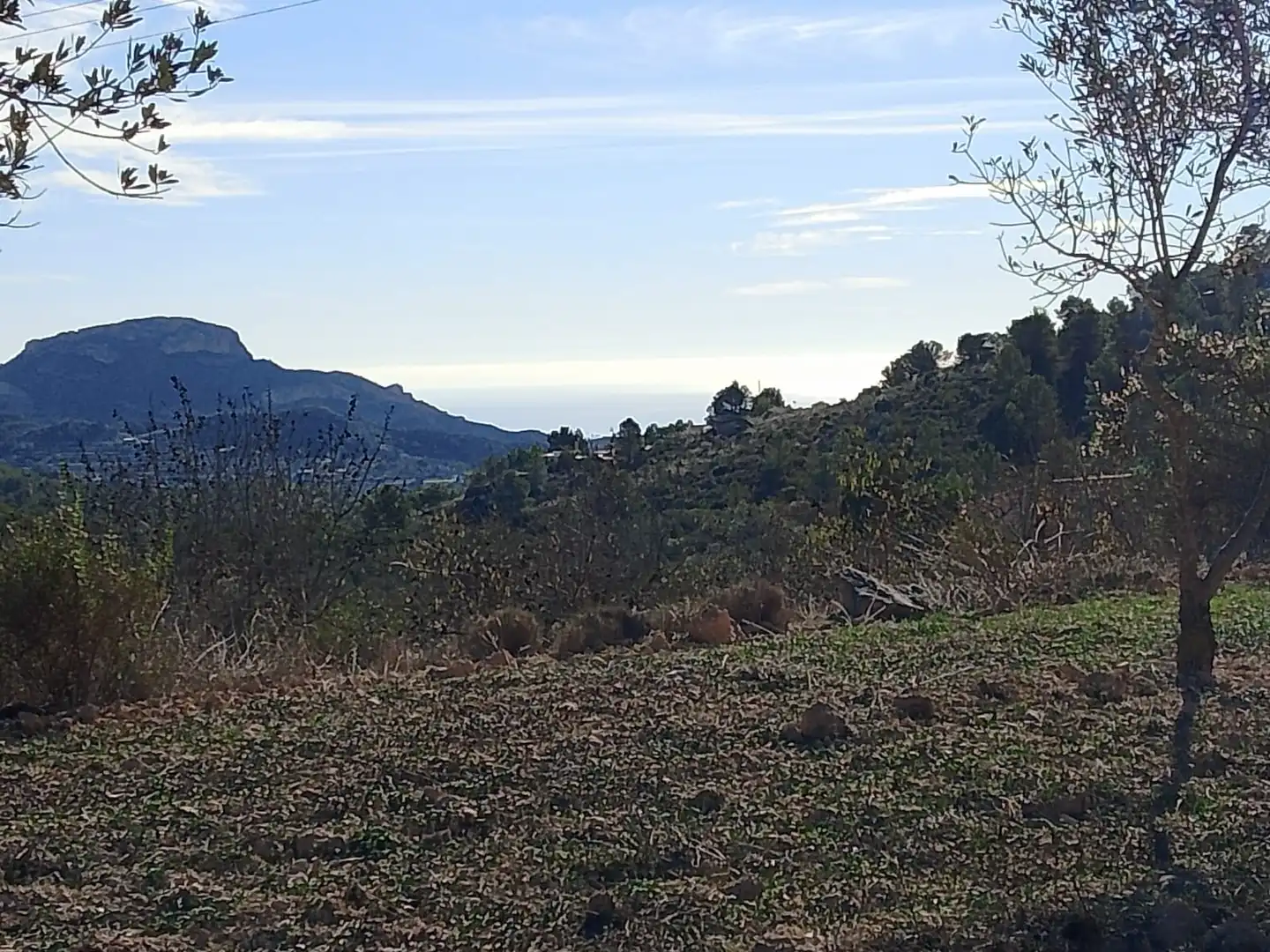 Terreno rustico in vendita a Carrer la Creu, imagen 31