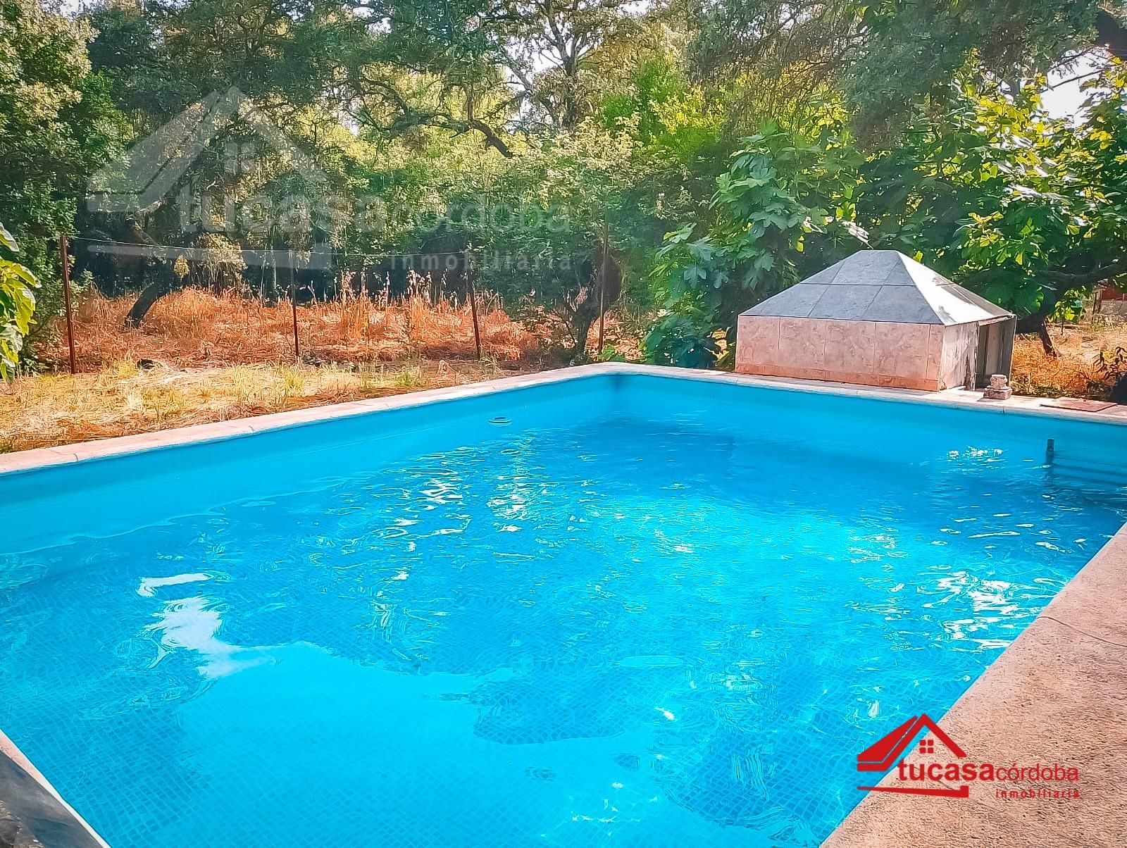 Swimming pool of Country house for sale in  Córdoba Capital  with Swimming Pool
