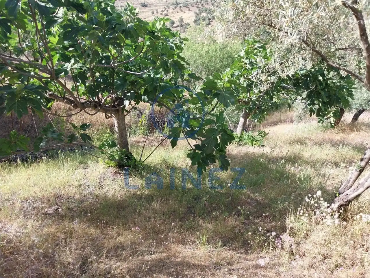 Grundstücke und Bauplätze zum Verkauf in Norte-Sierra, imagen 28
