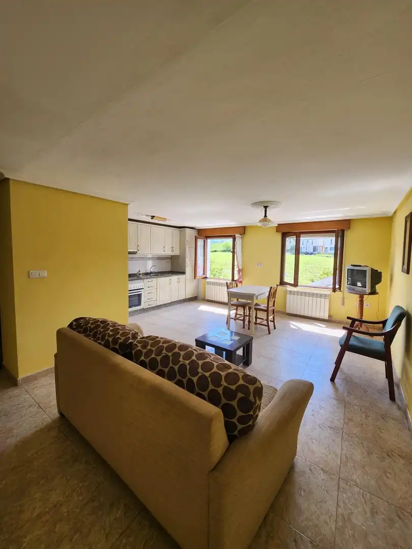 Wohnzimmer von Wohnungen zum Verkauf in Villayón mit Heizung
