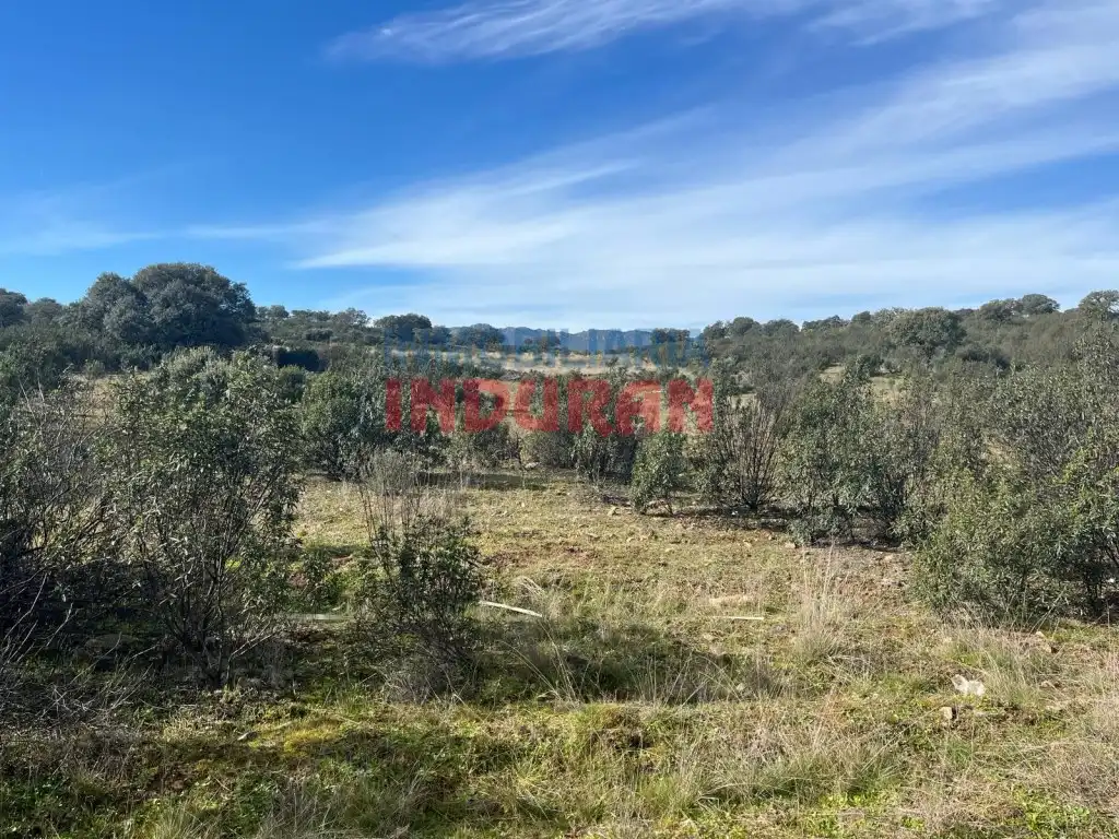 Finca rústica en venda en Puerto de San Vicente