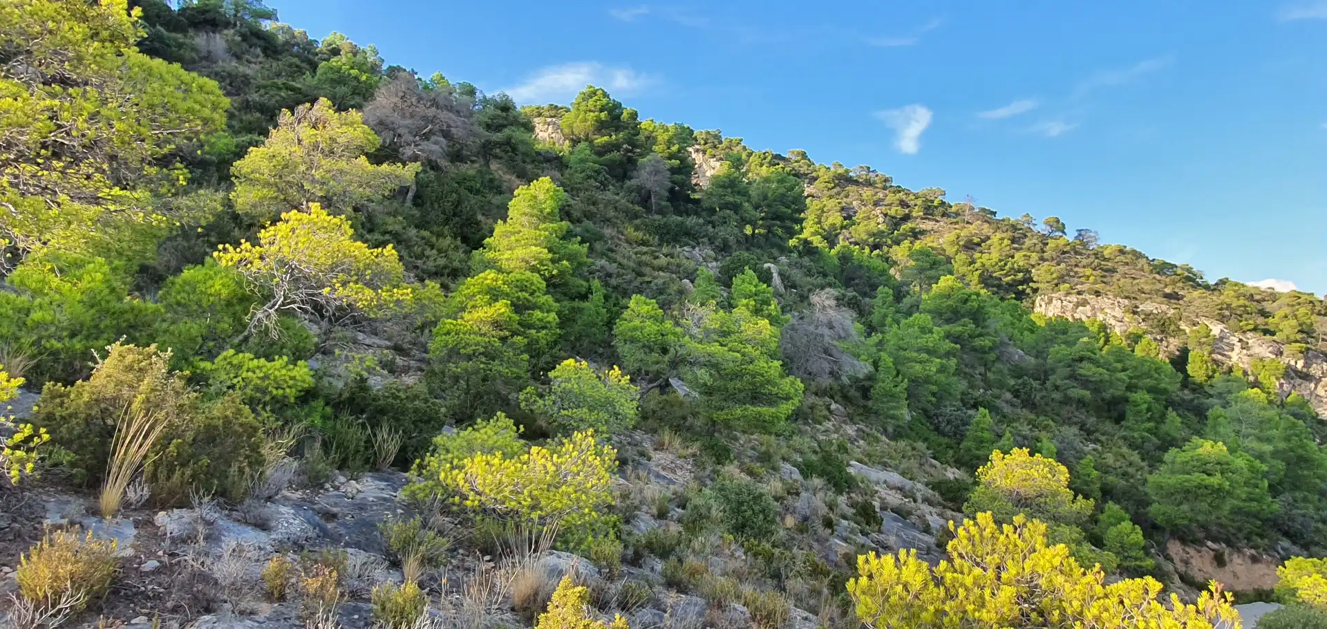 Wohnbaugrundstück zum Verkauf in El Pinell de Brai, imagen 24
