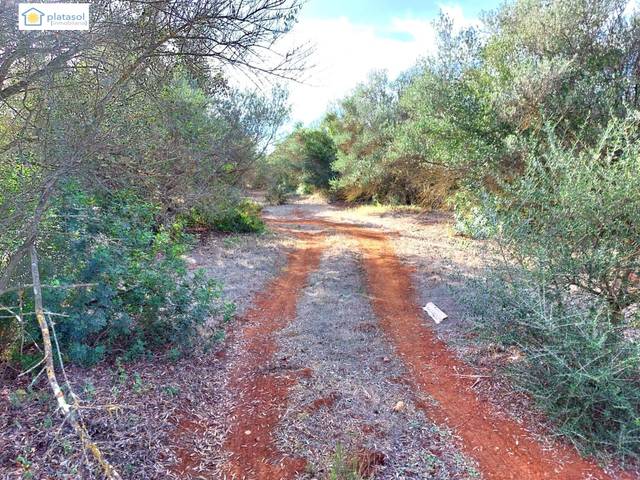 Terreno en Venta en Camino camino de los arrieros en Gerena