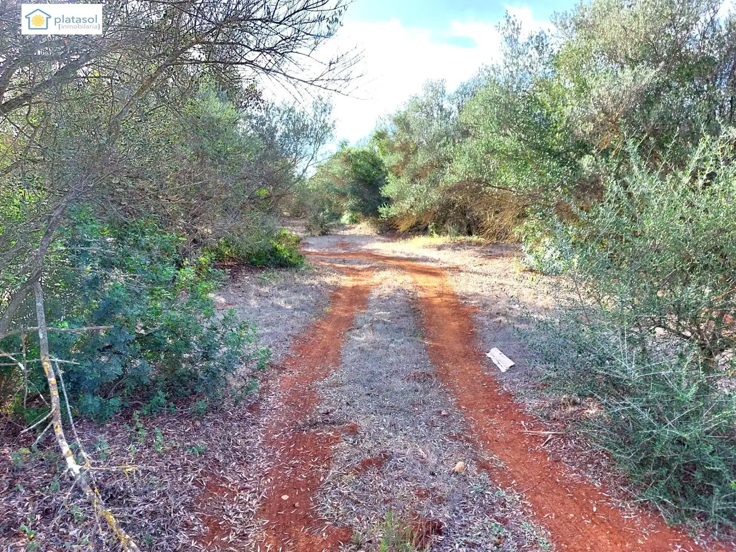 Terreni e lotti in vendita a Camino del Camino de los Arrieros