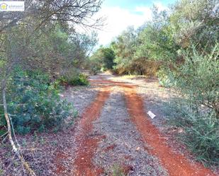 Land for sale in Gerena