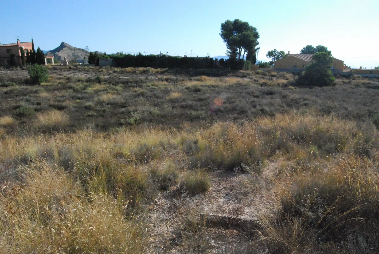 Terrain résidentiel à vendre à Agost, imagen 15
