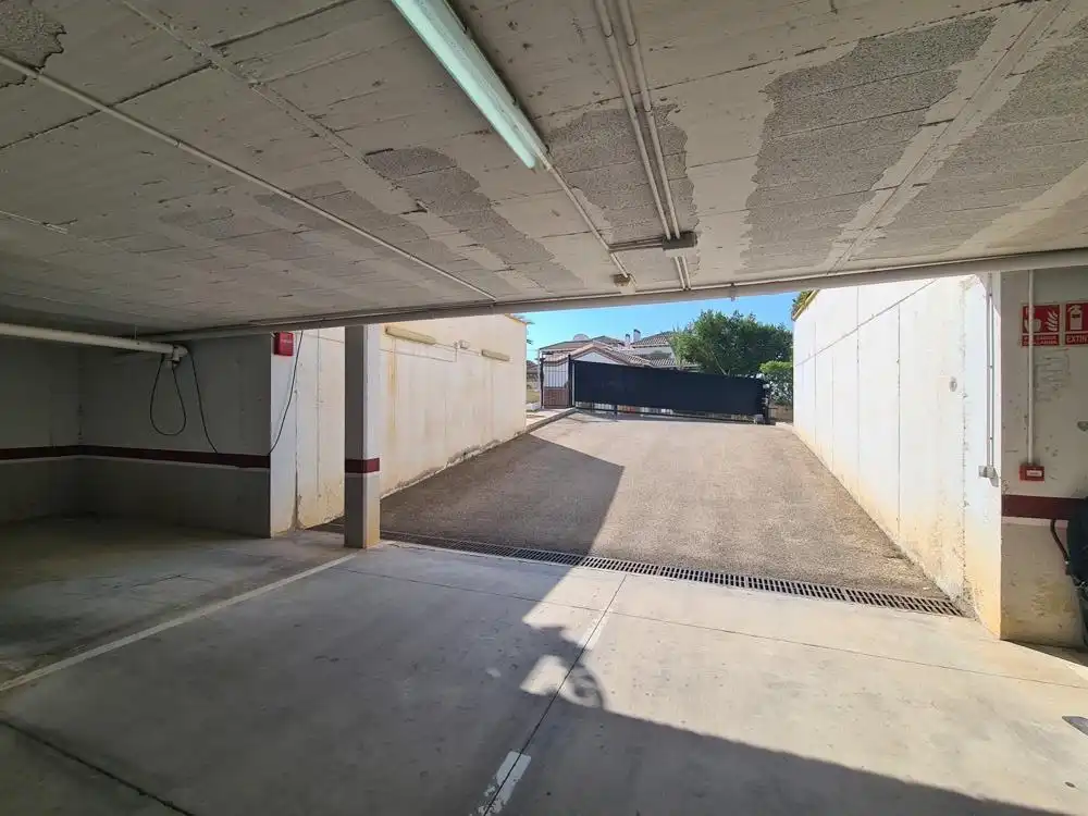 Vivienda con piscina en venta en Calle ALBARDIN, imagen 46