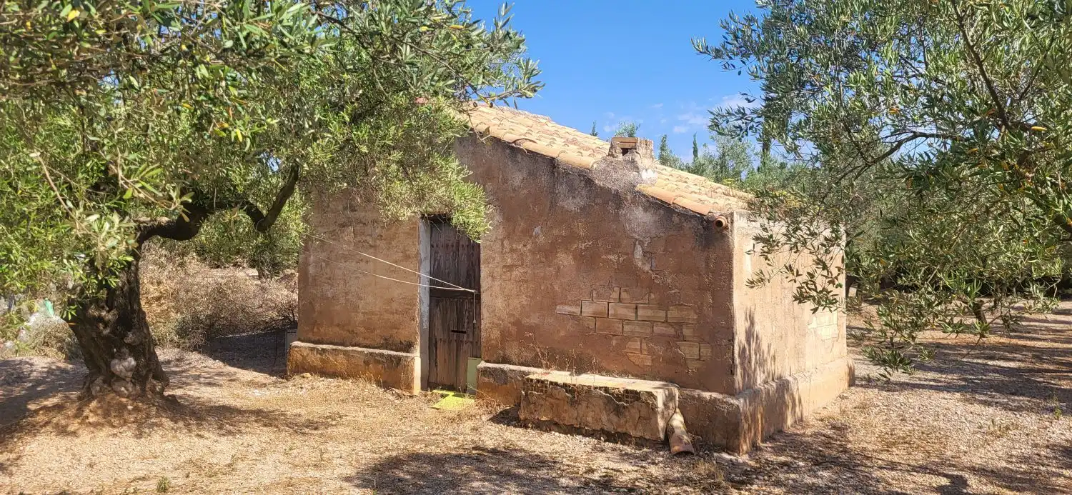 Vista exterior de Finca rústica en venta en Mas de Barberans