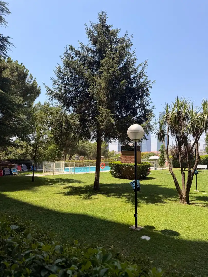 Swimming pool of Flat for rent in Madrid  with Private garden, Swimming Pool and Balcony