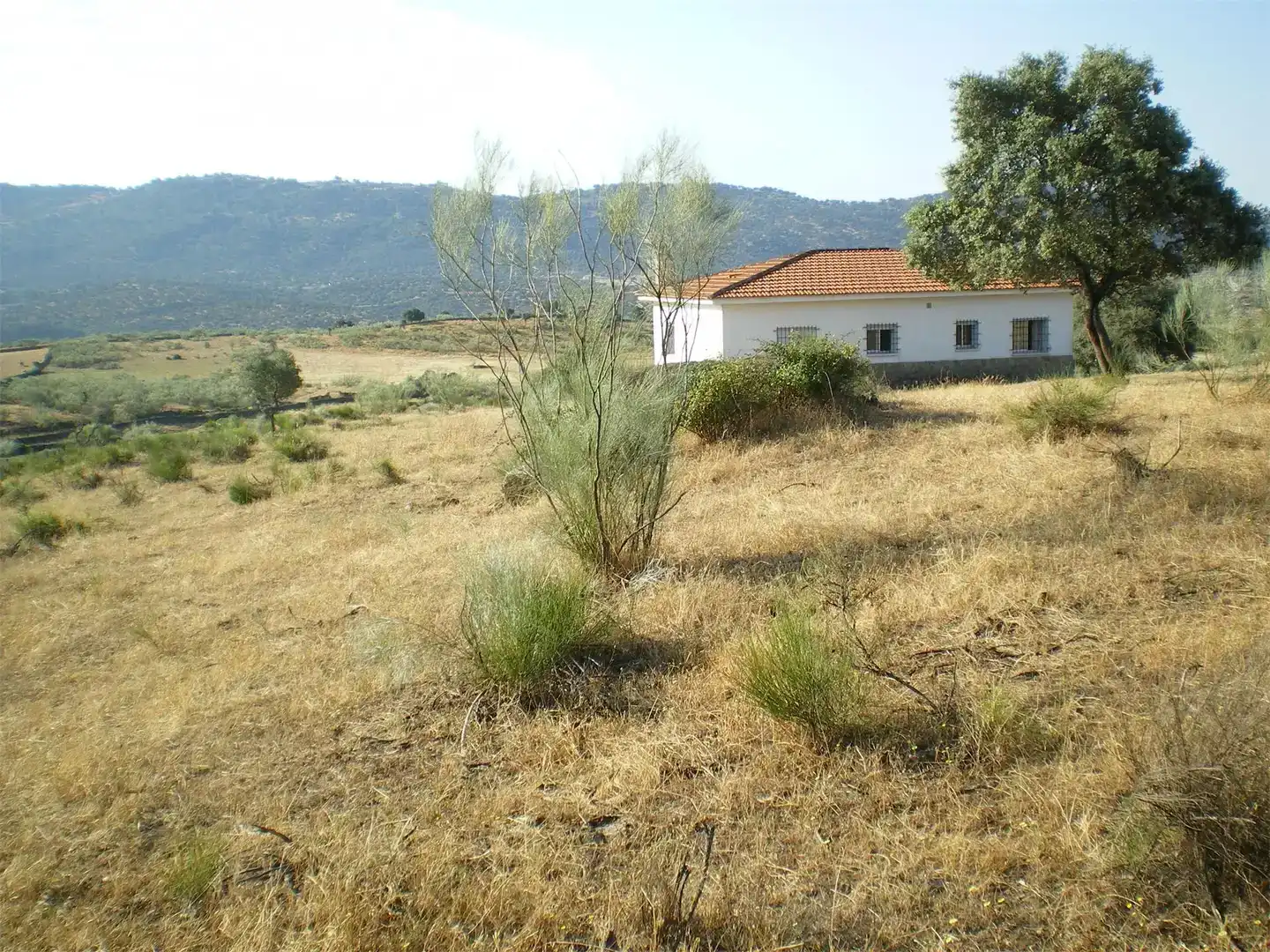 Casa o xalet en venda en Oliva de Plasencia
