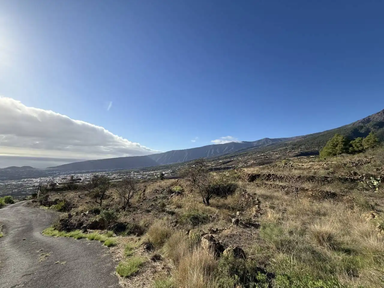 Rural land for sale in Camino Montesinas, imagen 9