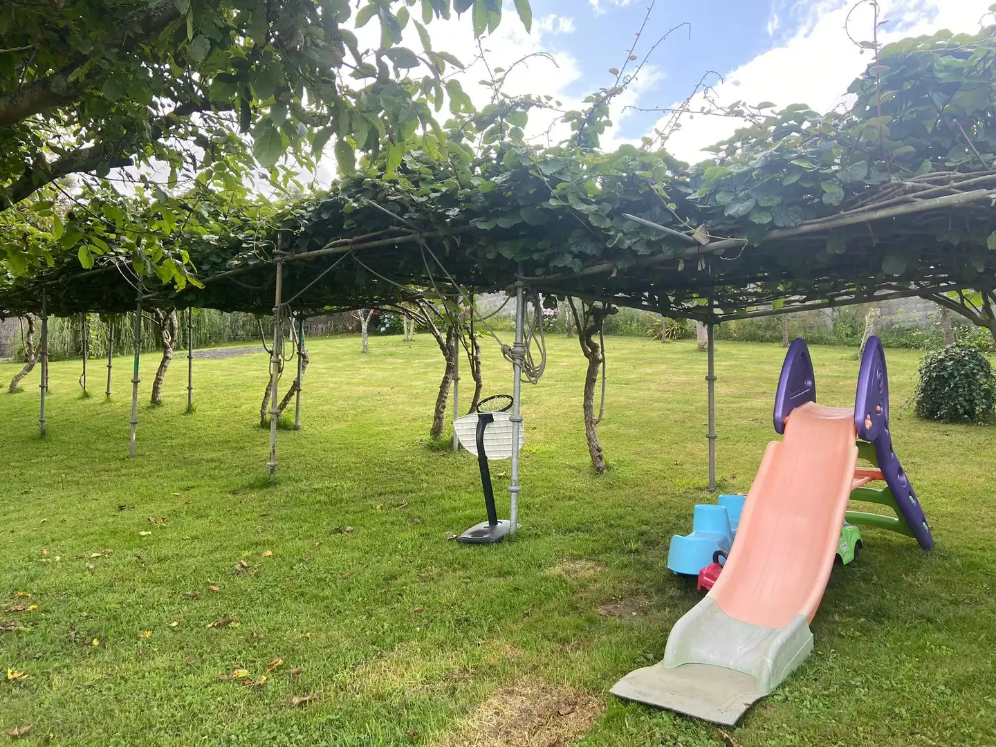 Jardí de Casa o xalet en venda en Ferrol amb Jardí privat