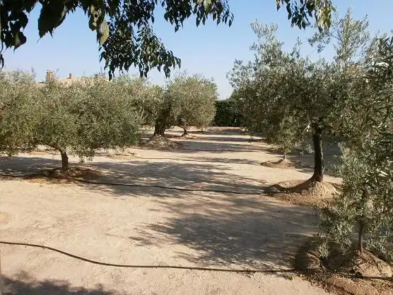 Xalet amb jardí en venda a Tobarra, imagen 15