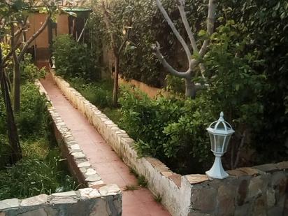 Jardí de Casa o xalet en venda en Hormigos amb Calefacció i Traster