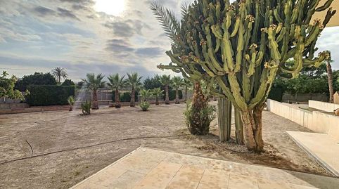Foto 5 de Casa o chalet en venta en Calle Adelfa, La Huerta, Mutxamel