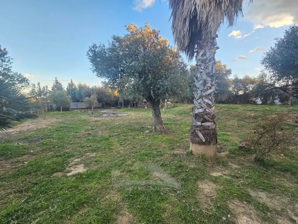Finca rústica en venta en Cambrils