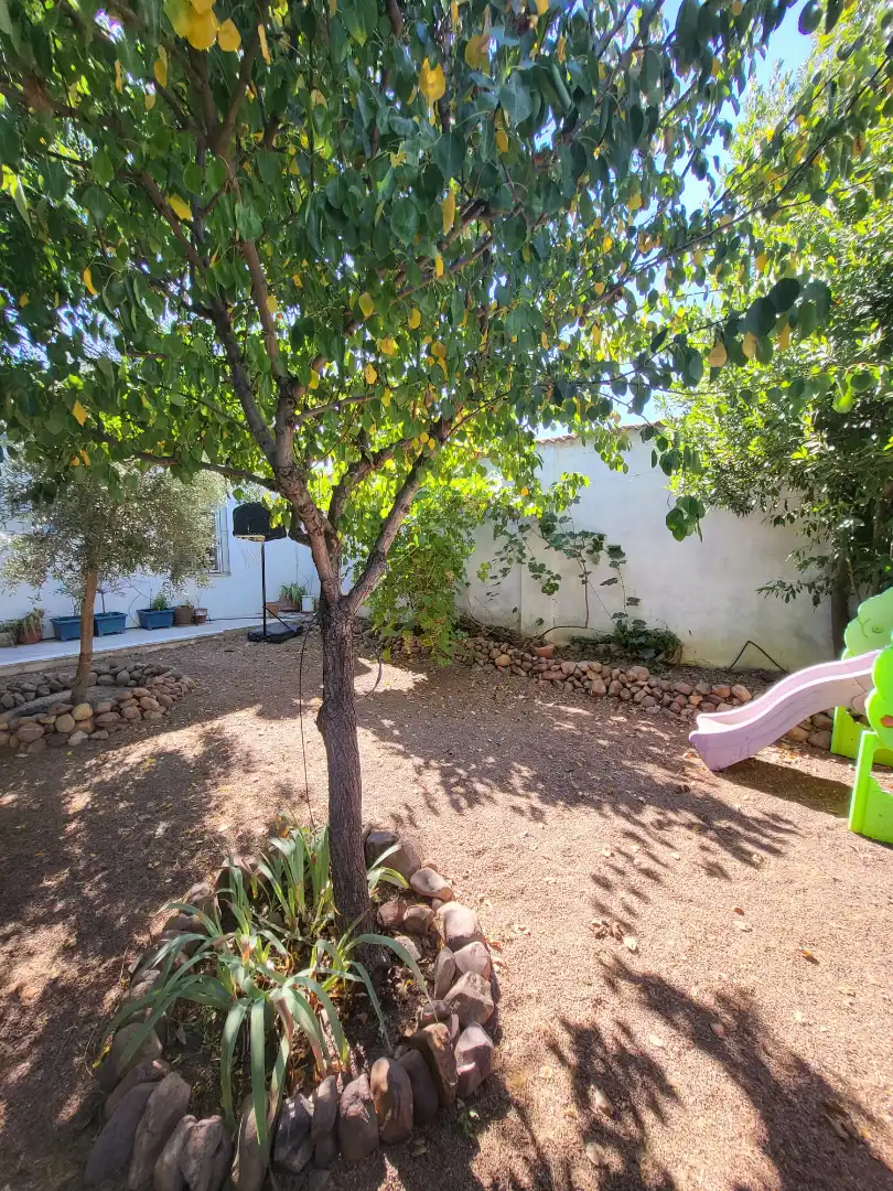 Jardín de Casa o chalet en venta en Los Pozuelos de Calatrava   con Aire acondicionado, Calefacción y Jardín privado