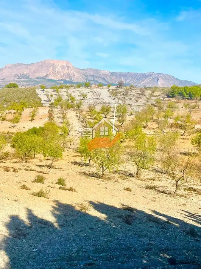 Casa rústica en venda a Vélez-Rubio, imagen 4