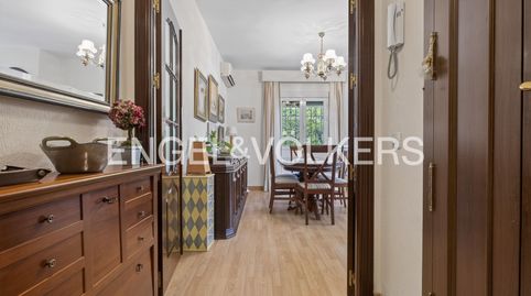 Exclusiva Villa de Una Sola Planta con Gran Potencial en Los Cerros de Montequinto, image 5
