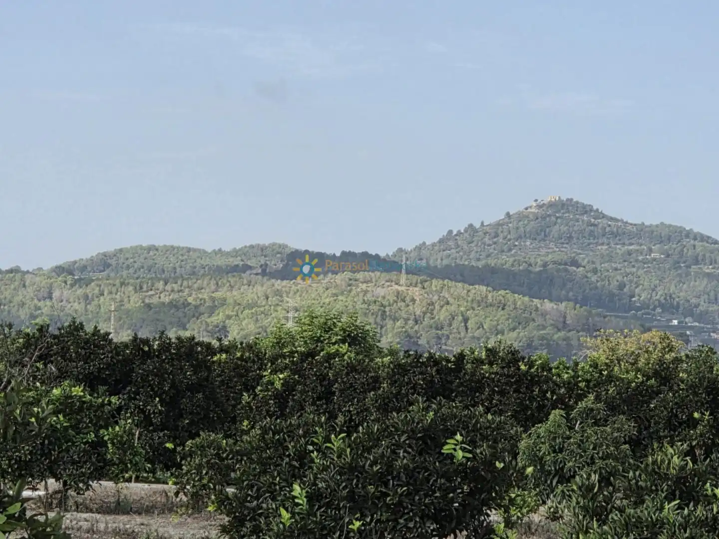 Finca rústica en venta en Senyera con Jardín privado y Terraza