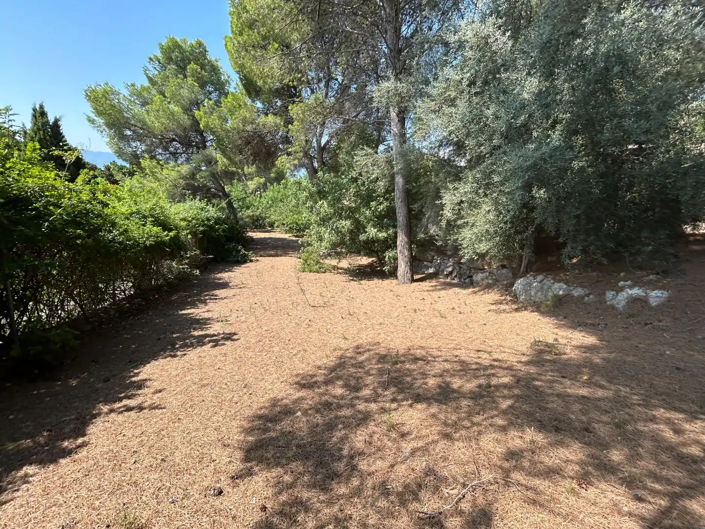 Terreno residencial en venta en Urbanizacion El Tossal, imagen 17