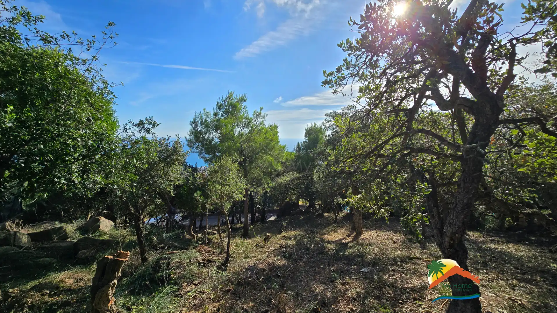 Terreno residencial en venta en Carrer Llevant 18, imagen 12