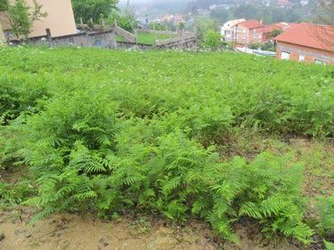 Terreny residencial en venda a Cabral - Candeán