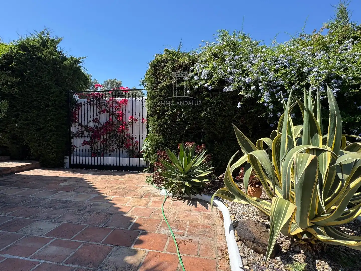 Jardí de Casa o xalet en venda en Vejer de la Frontera amb Aire condicionat i Piscina