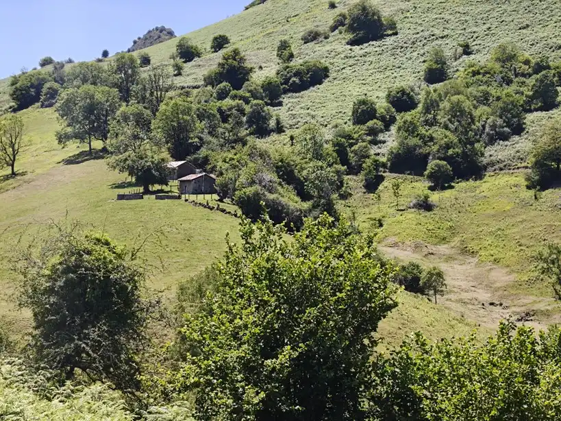 Terreno rustico in vendita a Proaza, imagen 39