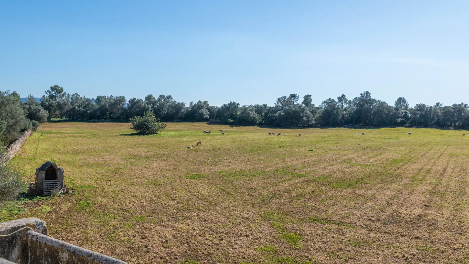 Finca rústica en venta en Vilafranca de Bonany con Terraza, Trastero y Balcón