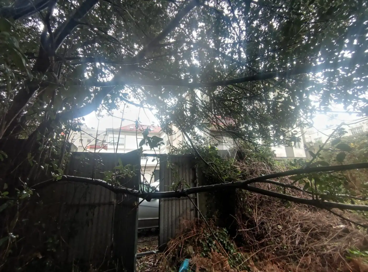 Terreny residencial en venda a ARZOBISPO MALVAR, imagen 28