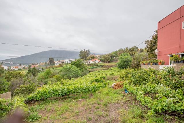 Terreno en Venta en Calle Tizón S/N en La Perdoma - San Antonio - Benijos