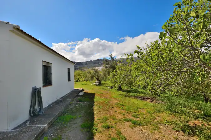 Garten von Country house zum Verkauf in Ronda mit Privatgarten