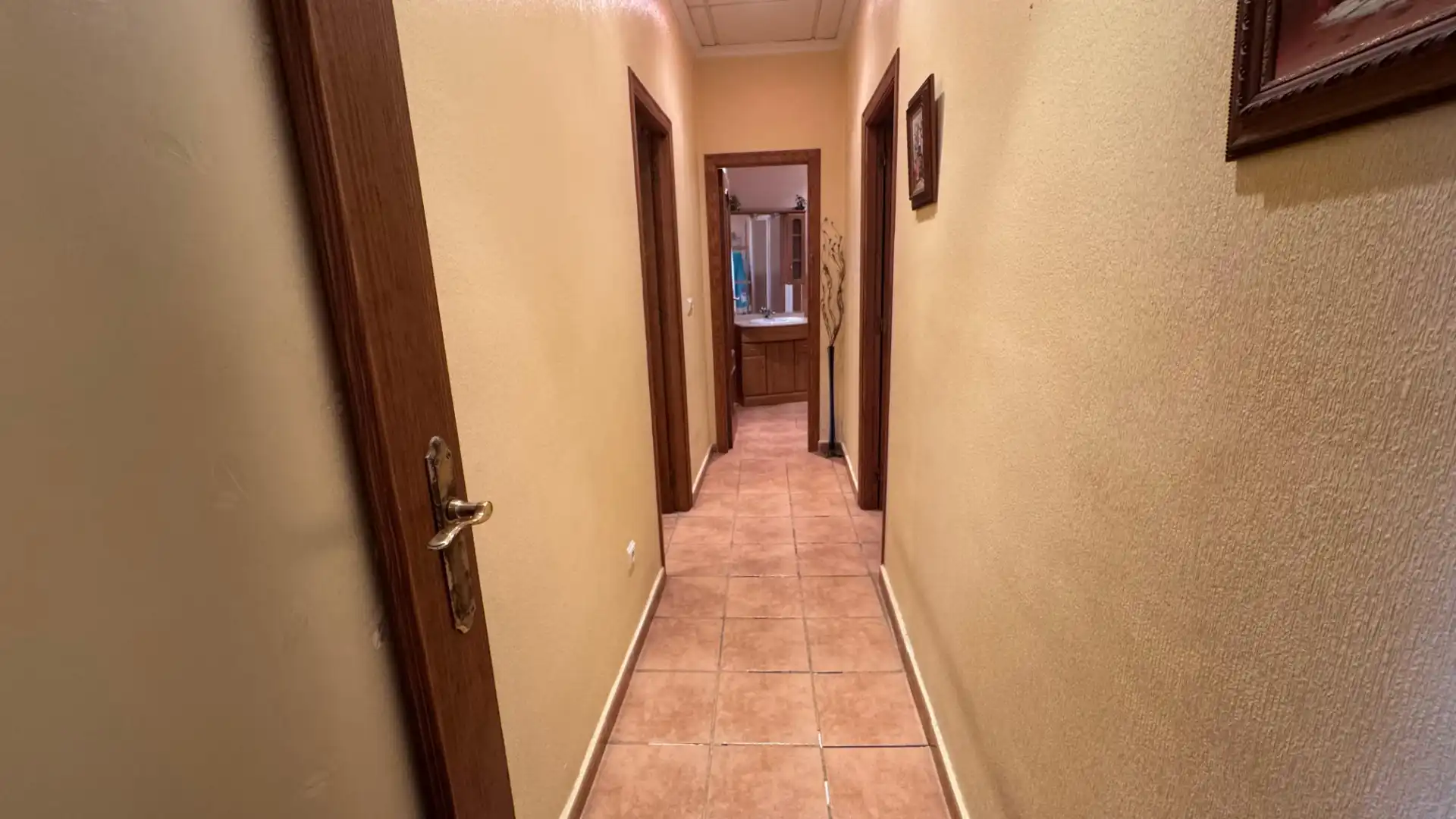 Casa o chalet en venta en Dolores con Aire acondicionado, Jardín privado y Amueblado