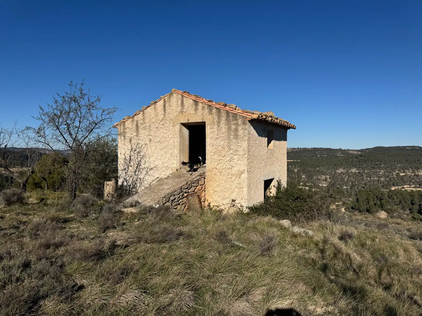Terreni e lotti in vendita a Valderrobres, imagen 8