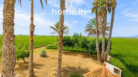 Foto 4 de Casa o chalet en venta en Parcela 44 Poligon 72, Eucaliptus - Poble Nou del Delta, Amposta