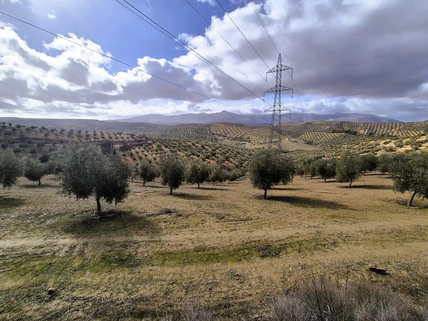 Terreno rústico en venta en Salar, imagen 2