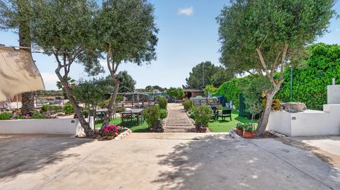 Photo 4 of Houses for sale in San Francisco de Asis, -1, Los Arenales del Sol, Elche / Elx
