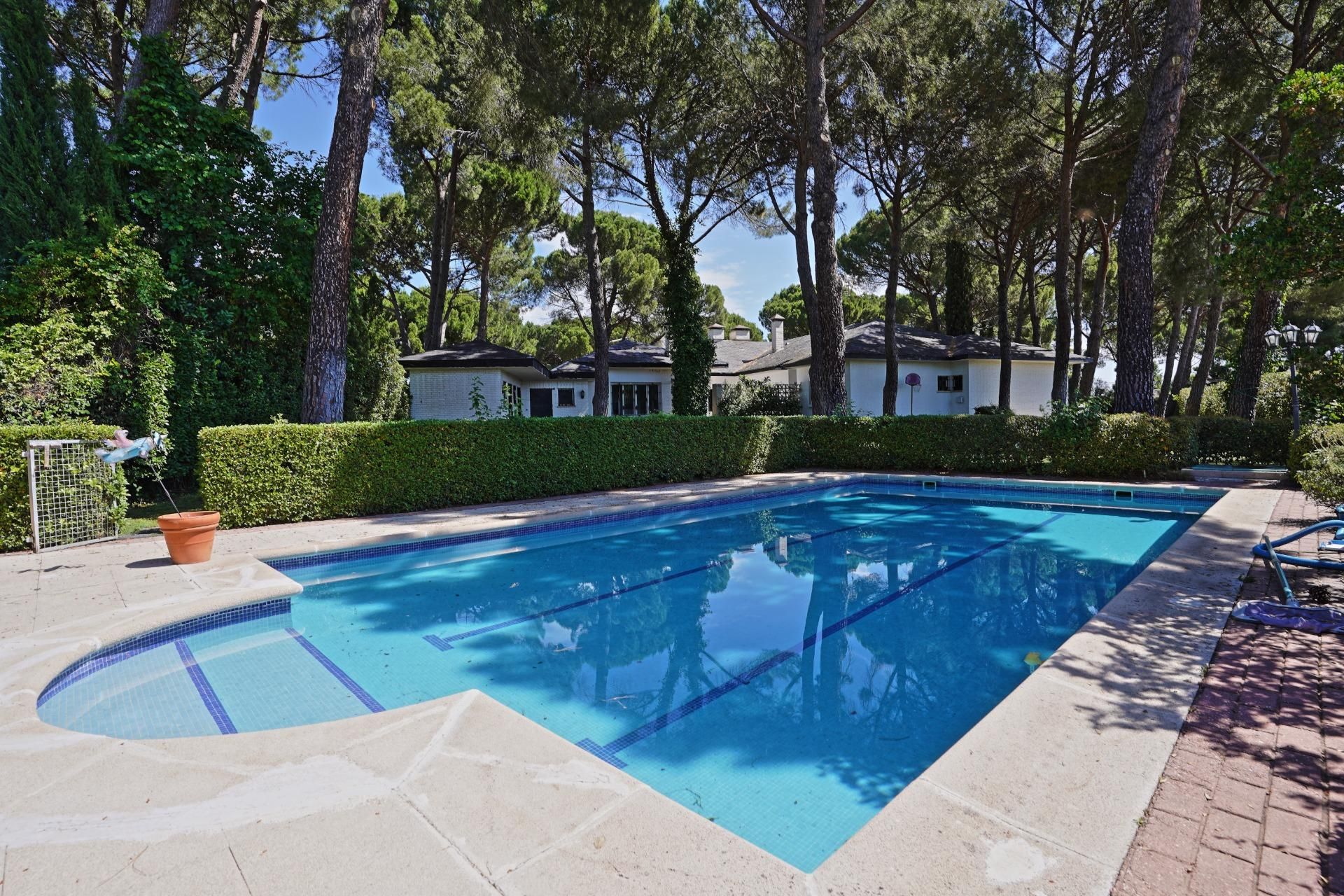 Swimming pool of House or chalet to rent in Villanueva de la Cañada  with Heating, Private garden and Terrace