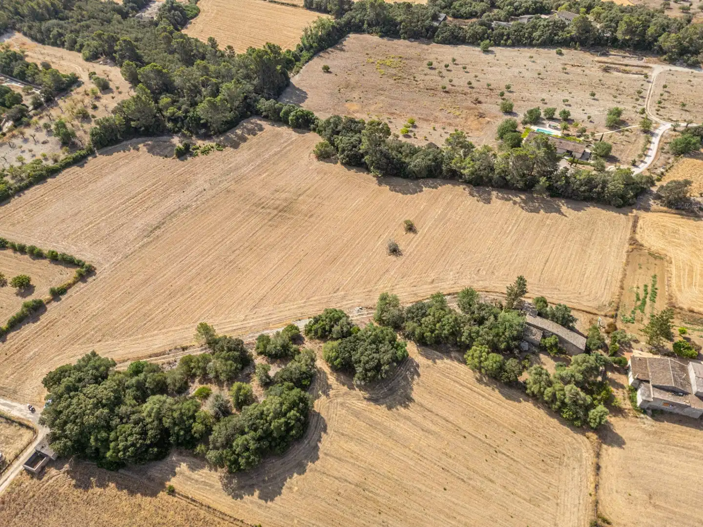 Terrain rustique à vendre à Diseminado Son Mora 199, imagen 5