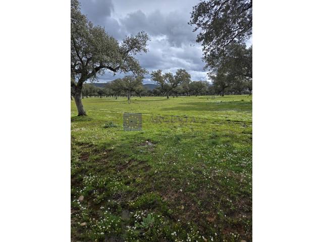 Casa-chalet en Venta en Oeste